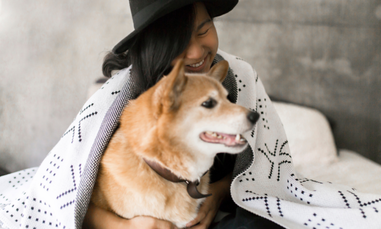 6 Ways To Pamper Your Pet On National Pet Day