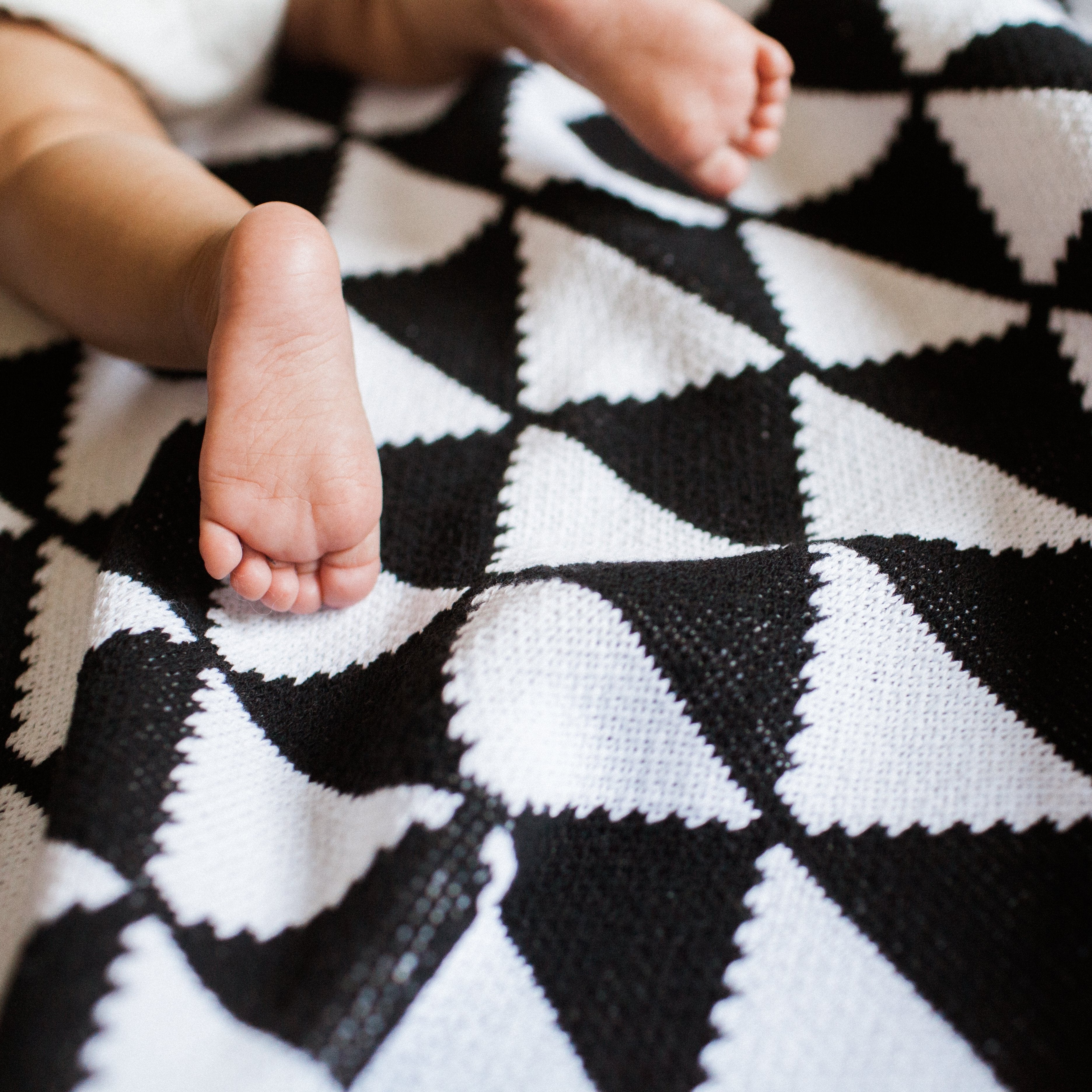 seek & swoon baby orca throw